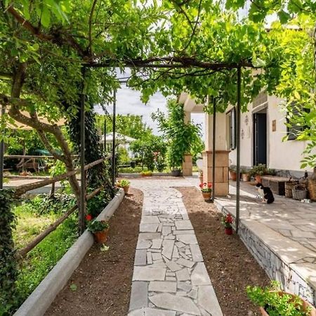 Vila Etna, Salvia E Rosmarino Maletto Exteriér fotografie