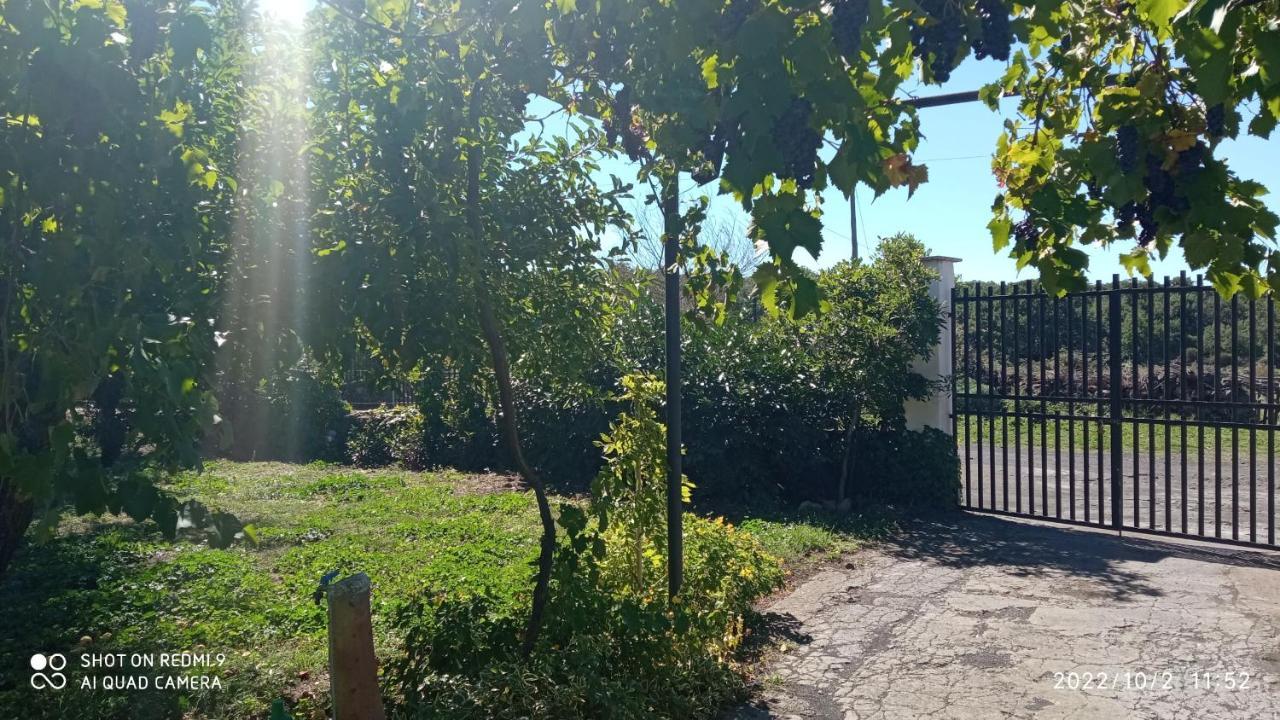 Vila Etna, Salvia E Rosmarino Maletto Exteriér fotografie
