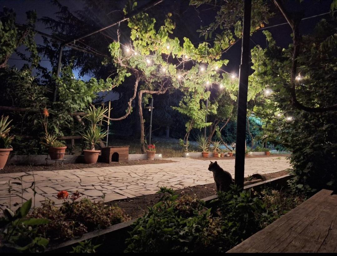 Vila Etna, Salvia E Rosmarino Maletto Exteriér fotografie
