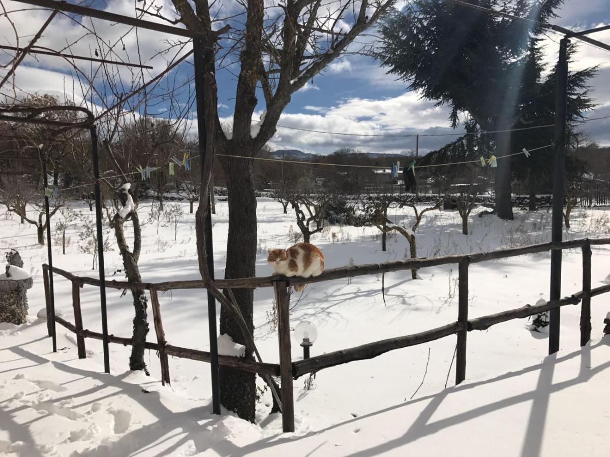 Vila Etna, Salvia E Rosmarino Maletto Exteriér fotografie
